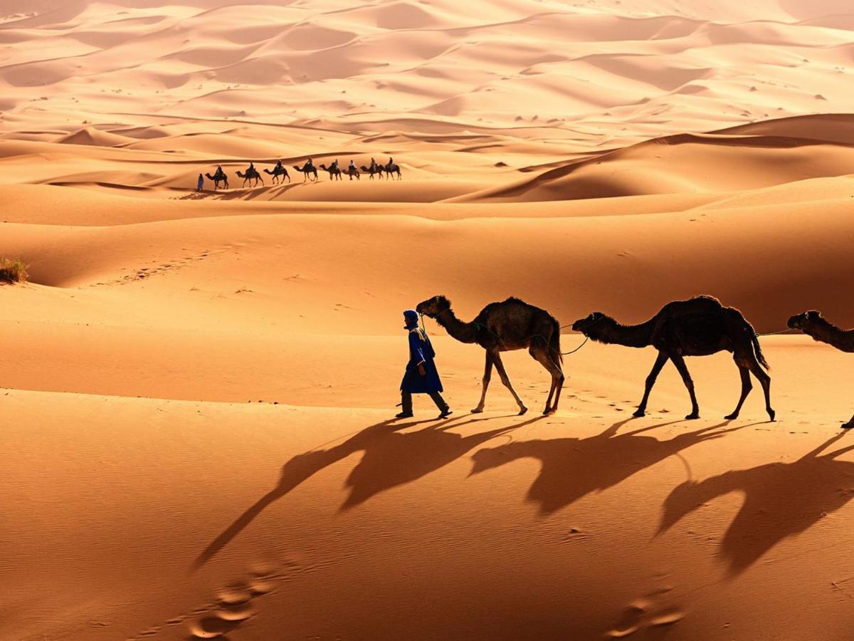 Merzouga Bohemian Camp 외부 사진